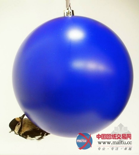 扎哈•哈迪德受邀设计2013年圣诞节装饰