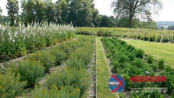 BASE景观事务所设计的法国EANA公园