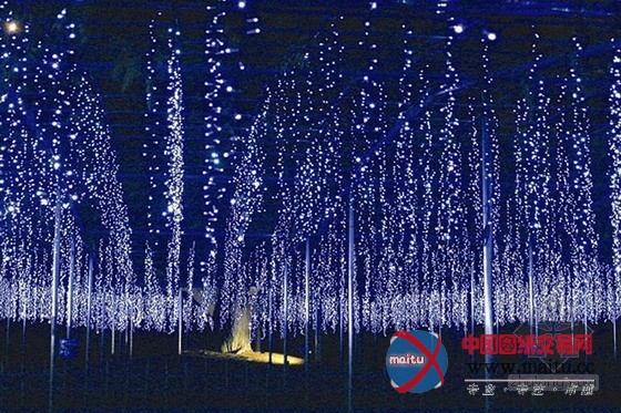 日本圣诞灯光秀