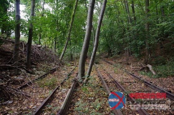 美国皇后区Queensway高线公园提案引争议