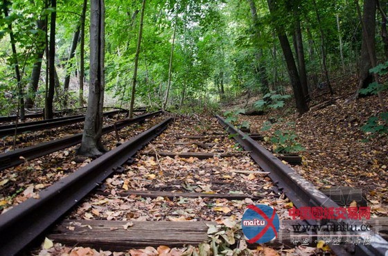 美国皇后区Queensway高线公园提案引争议