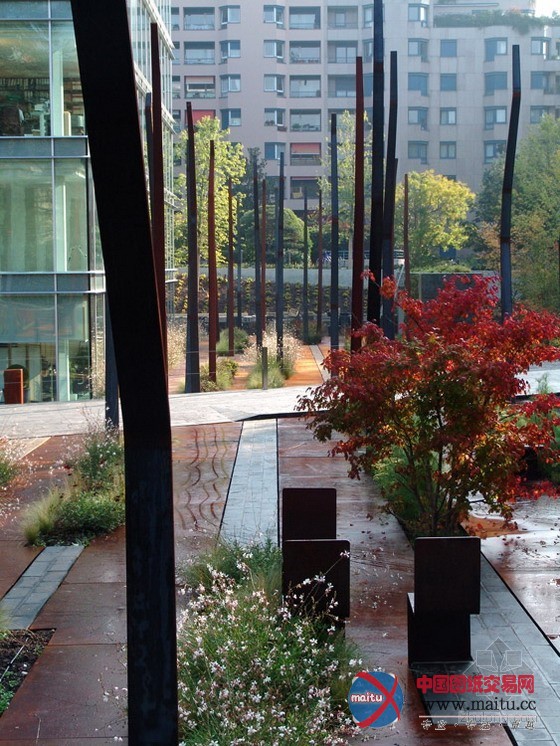 日内瓦城市花圃