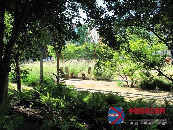 日内瓦城市花圃