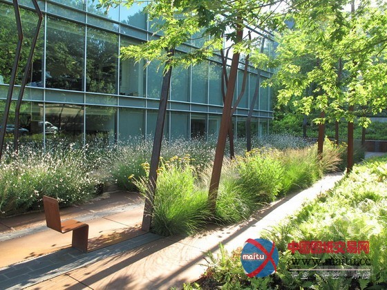 日内瓦城市花圃