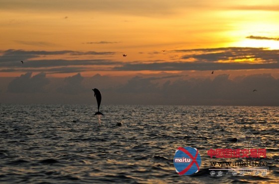 巴厘岛提莫克度假村 独一无二的宁静