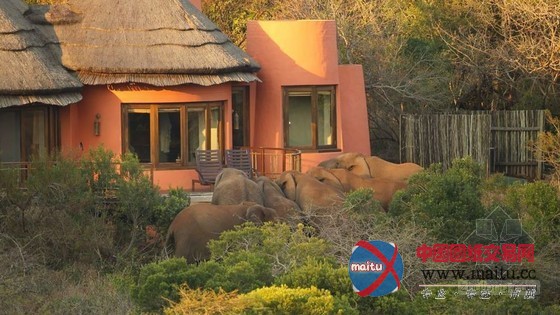 南非泰达私人野生动物保护区酒店设计 自然完美融合