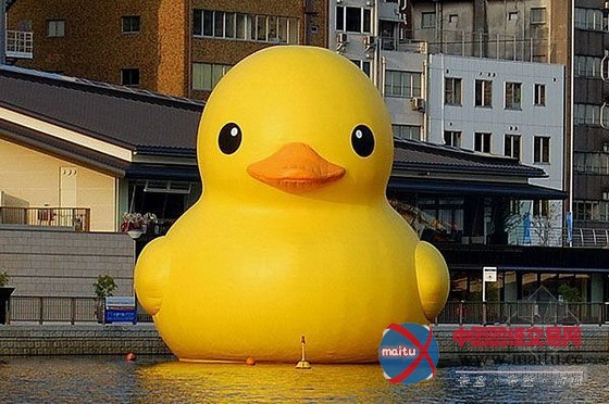 基隆港大黄鸭的意外破裂