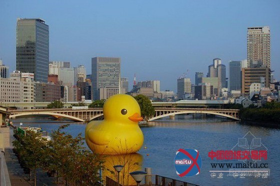 基隆港大黄鸭的意外破裂