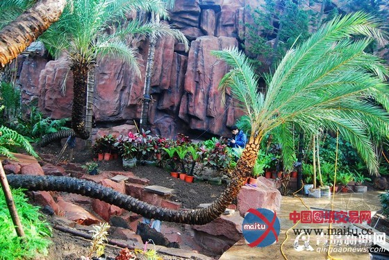 青岛世园会“叶片”植物馆百花盛开 月底完工