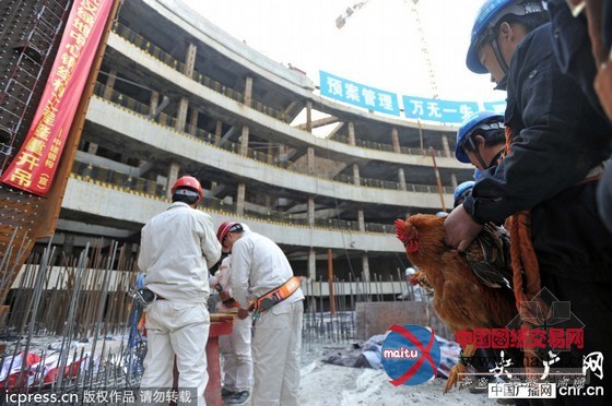 华中在建第一高楼首根70吨钢巨柱吊装
