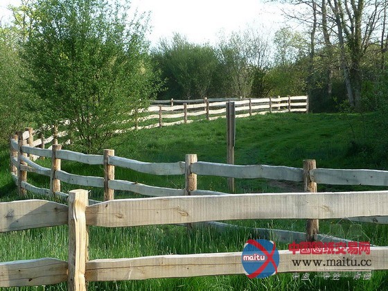 圣雅克生态公园景观规划设计