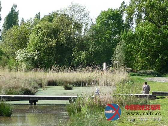 圣雅克生态公园景观规划设计