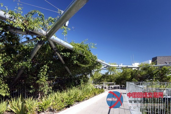 Collins &Turner设计的悉尼滑铁卢青年中心