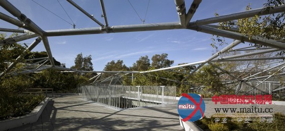 Collins &Turner设计的悉尼滑铁卢青年中心