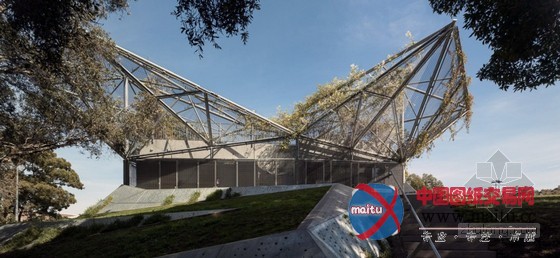 Collins &Turner设计的悉尼滑铁卢青年中心