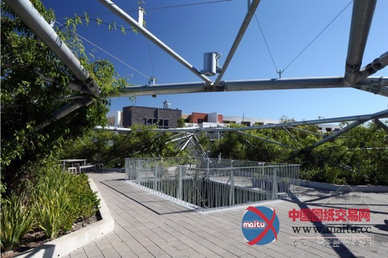 Collins &Turner设计的悉尼滑铁卢青年中心