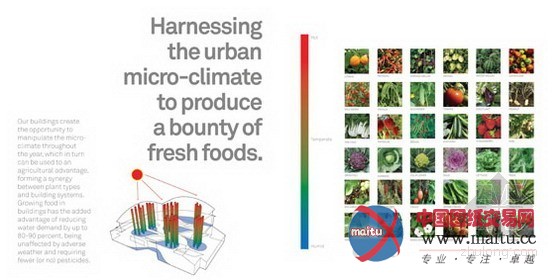 AECOM设计的城市中的食物丛林