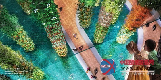 AECOM设计的城市中的食物丛林