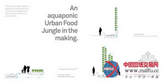 AECOM设计的城市中的食物丛林