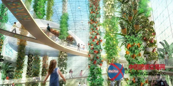 AECOM设计的城市中的食物丛林