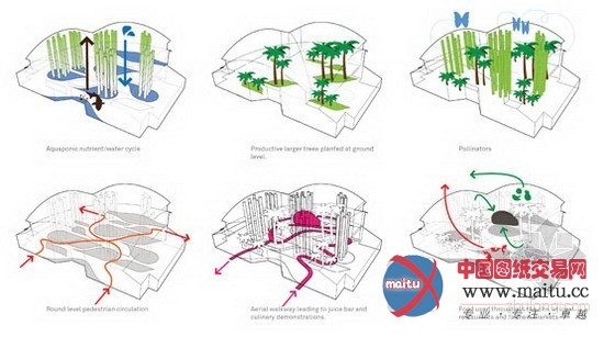AECOM设计的城市中的食物丛林