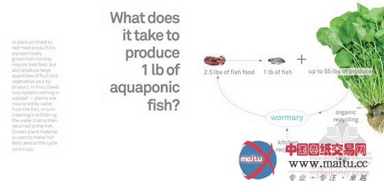 AECOM设计的城市中的食物丛林