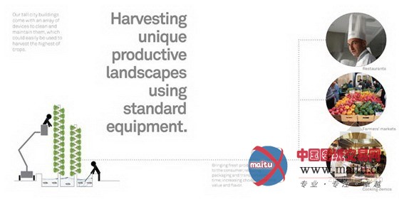 AECOM设计的城市中的食物丛林