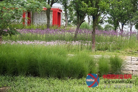 江苏昆山莲湖公园 历史文化融入景观