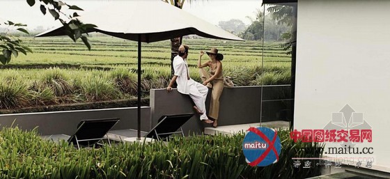 阿丽拉苏里别墅酒店 尽享浑然忘我之境