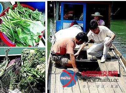 清远:船家乱扔垃圾 北江暗自哭泣