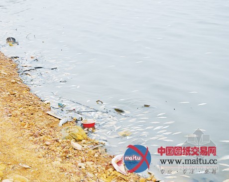 清远:船家乱扔垃圾 北江暗自哭泣