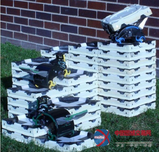 哈佛研制“机器蚂蚁” 可代人类进行施工