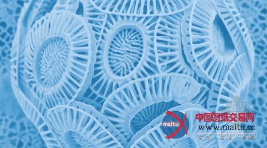 大胆设想:未来的建筑能否在海底“生存”