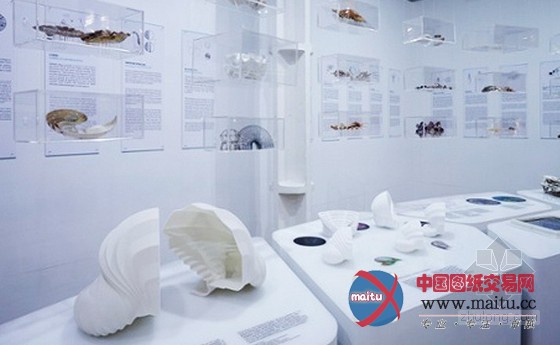 大胆设想:未来的建筑能否在海底“生存”