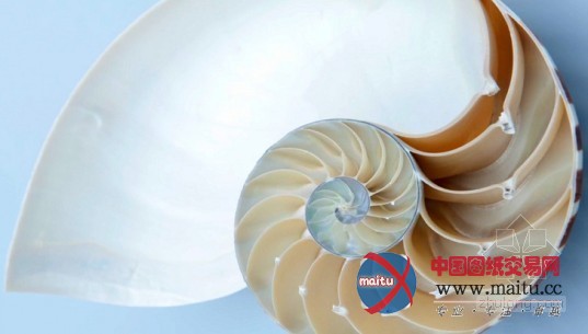 大胆设想:未来的建筑能否在海底“生存”