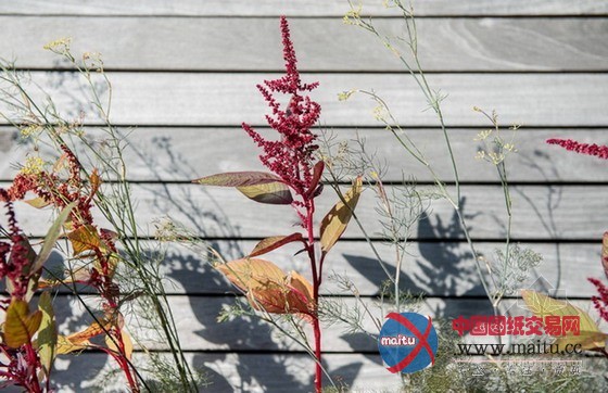 屋顶水池改造的农场餐厅