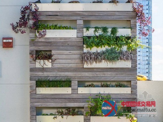 屋顶水池改造的农场餐厅