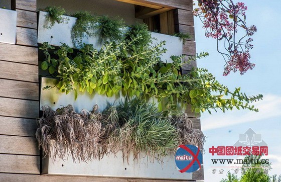 屋顶水池改造的农场餐厅