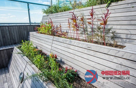 屋顶水池改造的农场餐厅