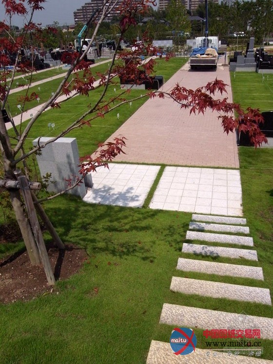 日本柏市中心墓地景观