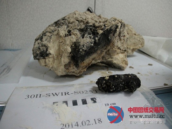 我国在西南印度洋首次抓获碳酸盐“白烟囱”