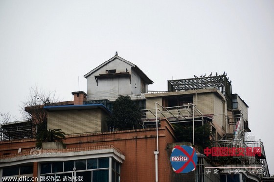 大量违建“空中别墅”现贵阳居民楼顶