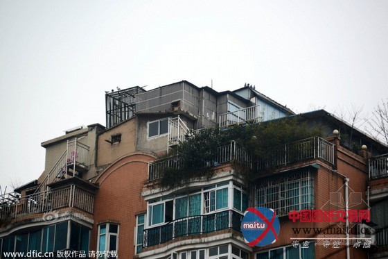 大量违建“空中别墅”现贵阳居民楼顶