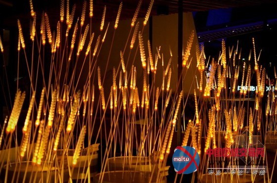 灿烂的“皇家稻田”照明景观