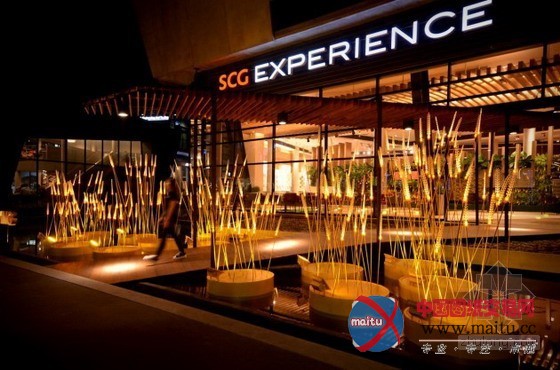 灿烂的“皇家稻田”照明景观