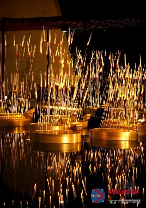 灿烂的“皇家稻田”照明景观