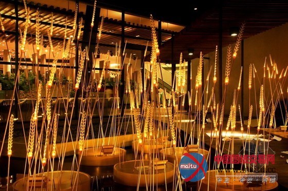 灿烂的“皇家稻田”照明景观