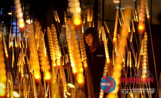 灿烂的“皇家稻田”照明景观