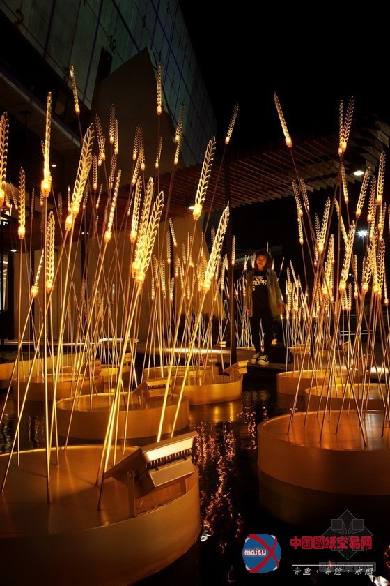 灿烂的“皇家稻田”照明景观