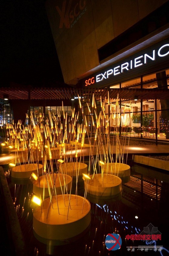 灿烂的“皇家稻田”照明景观